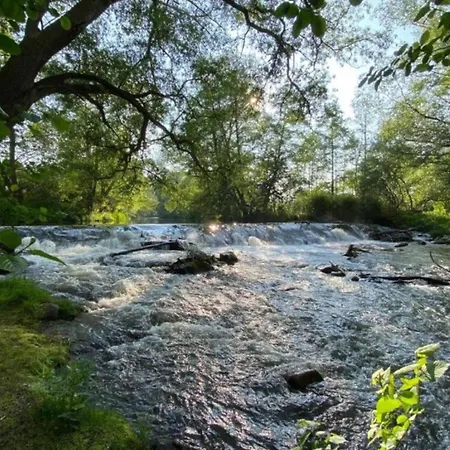 Nature Escape In Apartment *