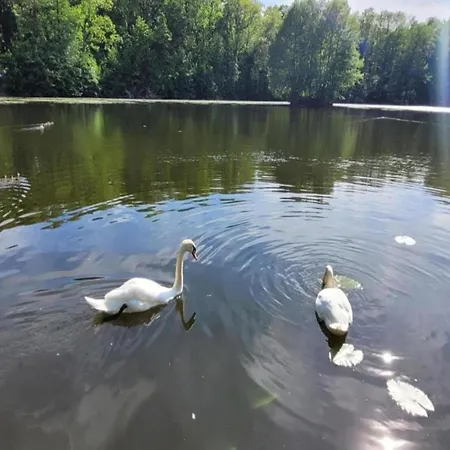Apartment Nature Escape In Meisdorf