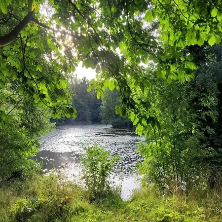 Apartment Nature Escape In *