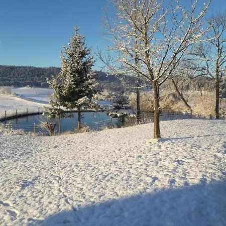 Nature Escape In Apartment Meisdorf