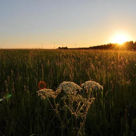 Nature Escape In * Meisdorf