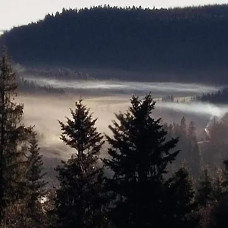 Apartment Nature Escape In *