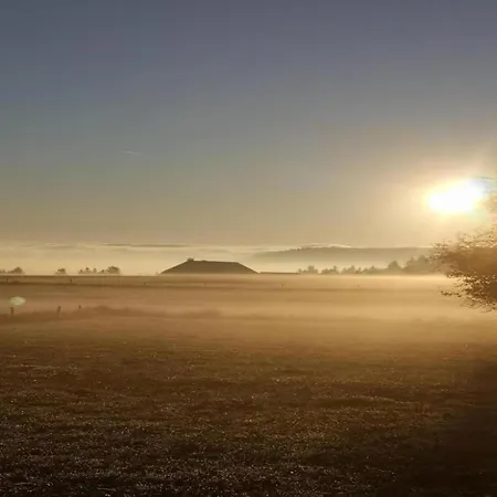 Apartment Nature Escape In *