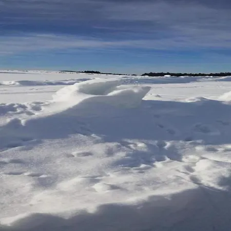 Nature Escape In Apartment Meisdorf