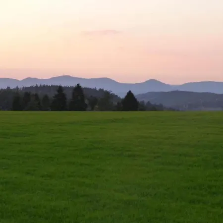 Apartment Nature Escape In Meisdorf