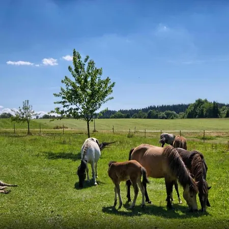 Nature Escape In Apartment