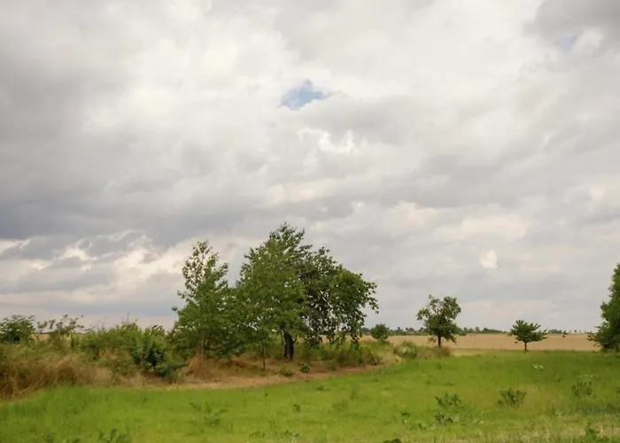Nature Escape In Lägenhet *