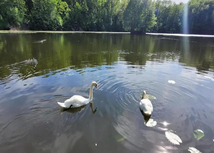 Lägenhet Nature Escape In Meisdorf