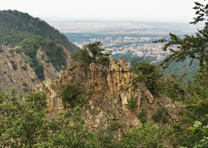 Nature Escape In Lägenhet