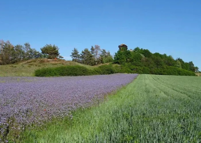 Nature Escape In Meisdorf
