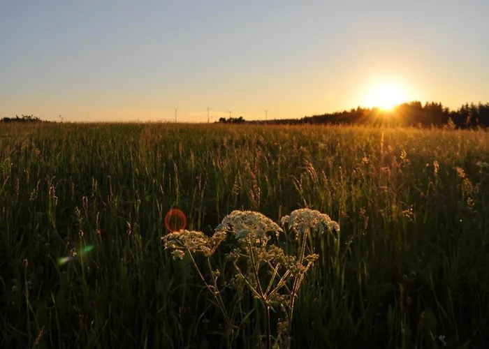 Nature Escape In * Meisdorf
