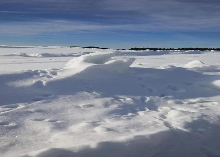 Nature Escape In Lägenhet Meisdorf