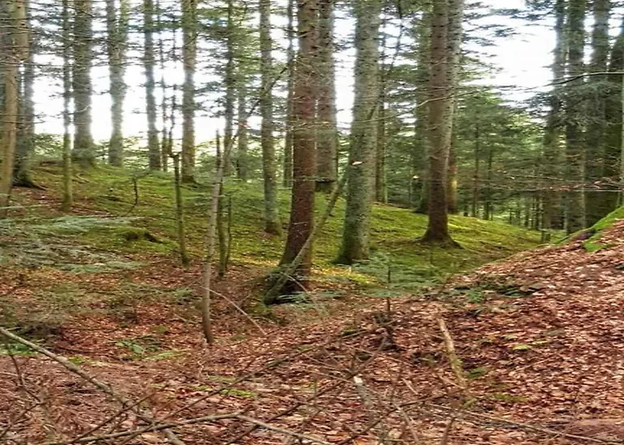 Lägenhet Nature Escape In Meisdorf